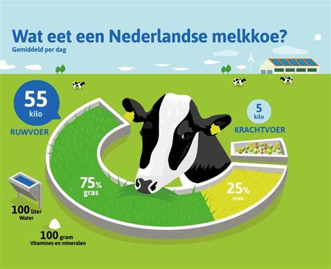  De Kameel en de Koe Een Verkenning van Ikonografie en Sociaal Kommentar